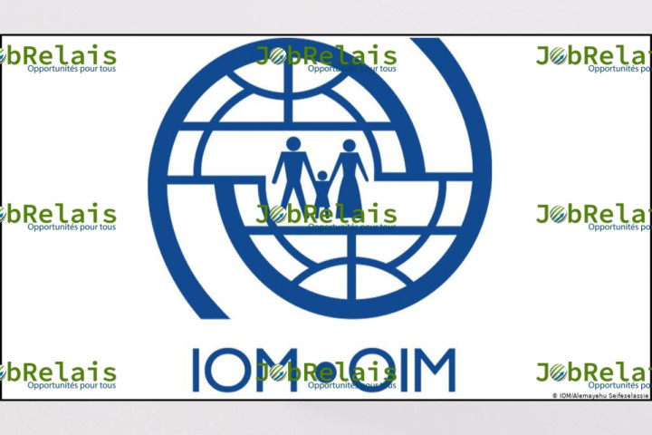 OIM INTERNATIONAL recrute