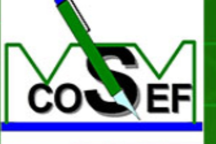 Niger: Le cabinet COSEF  recrute (02 postes )