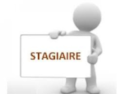 Stage au développement commercial