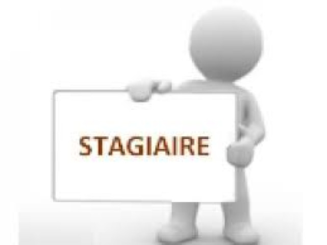 Stage au développement commercial