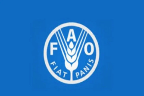 FAO recrute