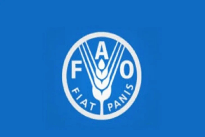 FAO recrute