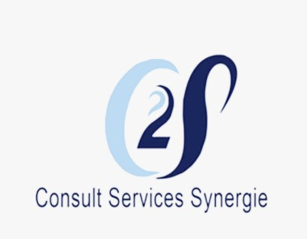 Consult Services Synergie recrute