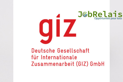 Avis d’appel d’offres de la GIZ au Togo