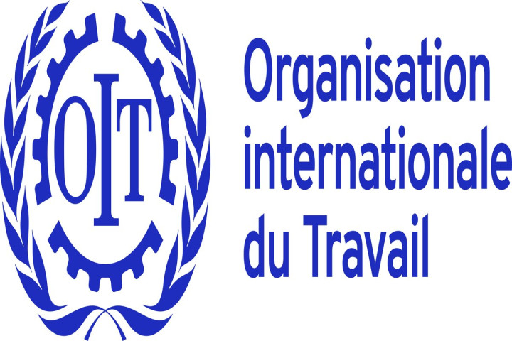 Organisation International du travail au Sénégal recrute  (H/F)