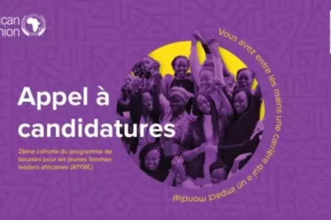 Programme de bourses UA-PNUD pour les jeunes femmes expertes africaine