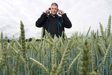 Avis d'appel d'offres du ministère de l'agriculture