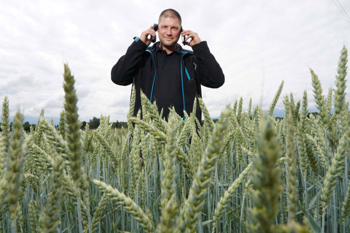 Avis d'appel d'offres du ministère de l'agriculture