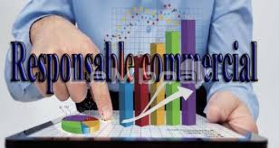 RECRUTEMENT responsable commercial