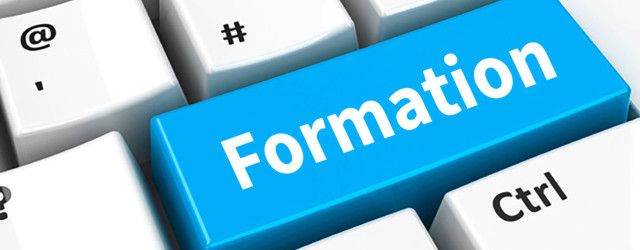 Formation à distance : MicroMasters en management – UC Louvain en Belgique
