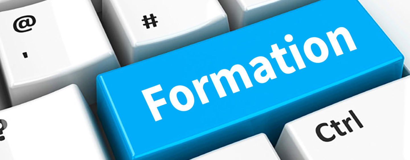 Formation à distance : MicroMasters en management – UC Louvain en Belgique