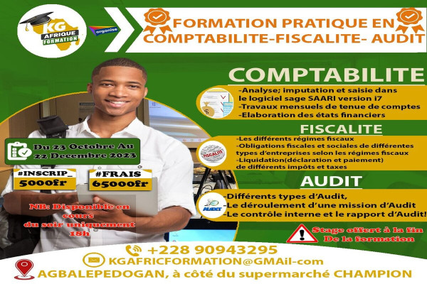 FORMATION PRATIQUE EN COMPTABILITE, FISCALITE ET AUDIT : Développez vos compétences et boostez votre carrière professionnelle