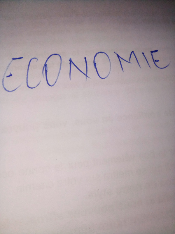 Économie : Allègement fiscaux en faveur des PMI/ PME au Togo